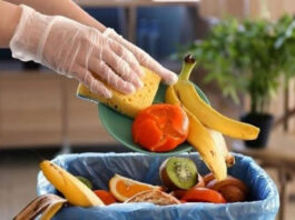 29η Σεπτεμβρίου: Διεθνής Ημέρα Ευαισθητοποίησης νια τις Απώλειες και τη Σπατάλη Τροφίμων… Του Αθαν. Χ. Παπανδρόπουλος