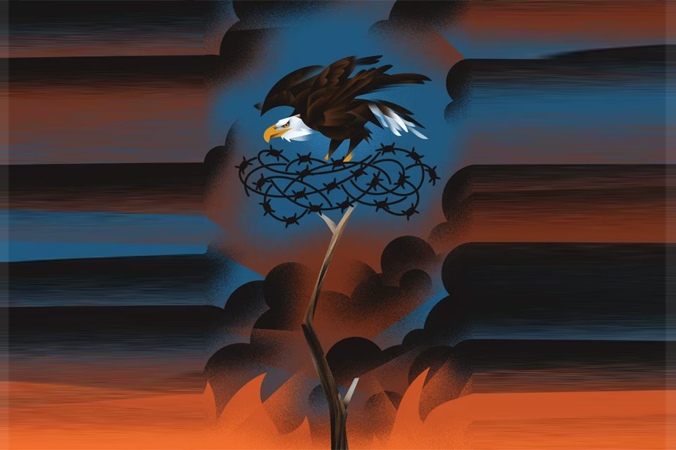 eagle-USA_NK