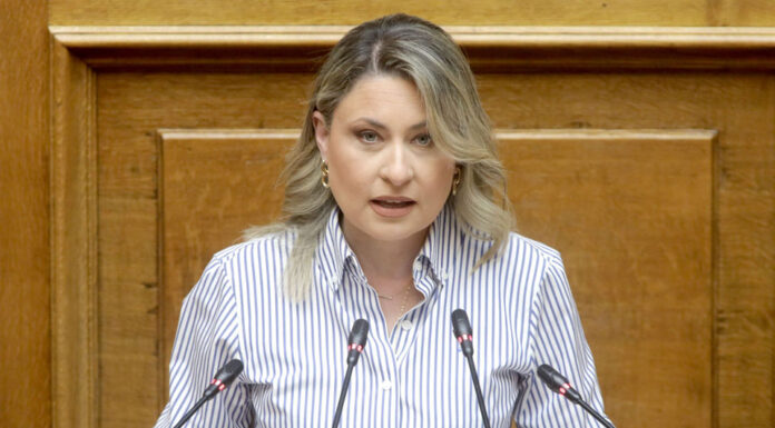 Η αντιπολίτευση του «μπακαλιάρου»… Της Χριστίνας Αλεξοπούλου