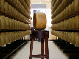 Μέσα στη μυστική «Τράπεζα Τυριών» της Ιταλίας – Πώς η παρμεζάνα μετατρέπεται σε χρυσό… Της Καλλιρόης Πεπονή