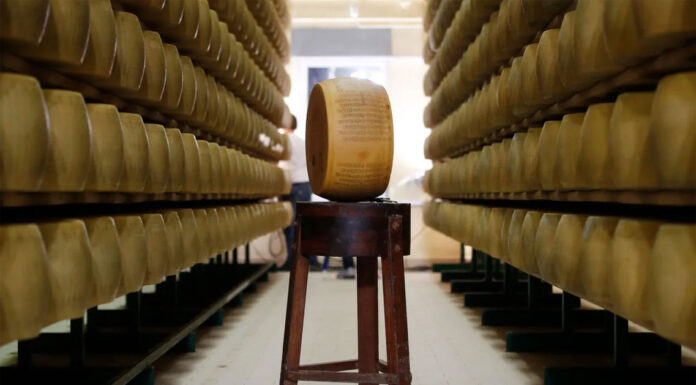 Μέσα στη μυστική «Τράπεζα Τυριών» της Ιταλίας – Πώς η παρμεζάνα μετατρέπεται σε χρυσό… Της Καλλιρόης Πεπονή