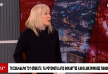 Σώτη Τριανταφύλλου: Στην Ελλάδα δεν υπήρξε ποτέ διαφάνεια – Η διεθνής Αριστερά ξέρει από προπαγάνδα