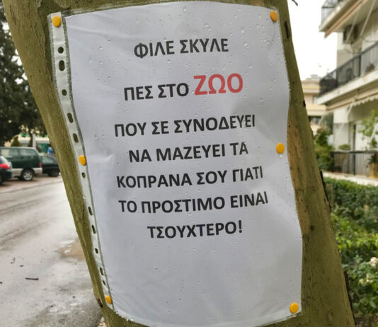 Ο Αστικός Πολιτισμός του είδους των ανθρώπων και η «φωνή» στα ζώα… Του Γιάννη Ρούντου