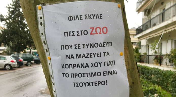 Ο Αστικός Πολιτισμός του είδους των ανθρώπων και η «φωνή» στα ζώα… Του Γιάννη Ρούντου