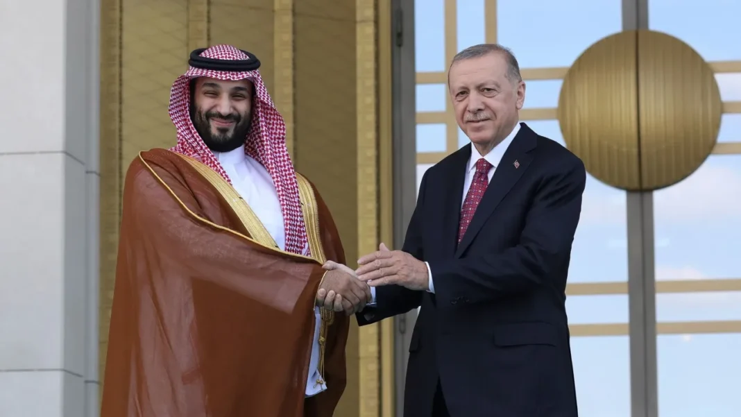 erdogansalman1_NK